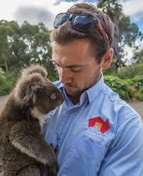 Awww Chloe The Baby Koala And Greg Snell Wildlife Caretaker Have One Final Cuddle At Kangaroo Island Wildlife Park During Greg S Final Trip To The Island