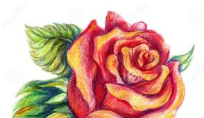 Here is where you can get creative and truly. Flower Drawing Images Archives Page 442 Of 714 Flowers Tn Leading Flowers Magazine Daily Beautiful Flowers For All Occasions