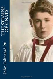 The Strains of Gnats: Johnstad, John: 9781478140870: Amazon.com: Books