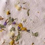 Homemade Seed and Dried Flowers Paper