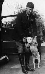 General Patton With His Bullterrier War Dogs George Patton English Bull