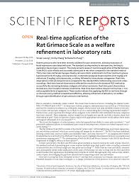 Real Time Application Of The Rat Grimace Scale As A Welfare