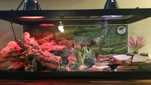 How To Create A Habitat For A Leopard Gecko Leopard Gecko Tank Leopard Gecko Habitat Leopard Gecko