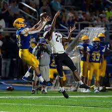 Hodgson tops Caesar Rodney in high school football season opener