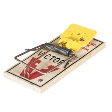 Check spelling or type a new query. Victor 2 Pack Easy Set Mouse Trap Walmart Com Walmart Com