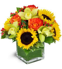 If you need sympathy flowers in abilene we always do our best to give our customers. Florist S Choice Daily Deal Abilene Tx Florist
