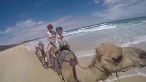 One or two humps on back approx. One Hump Or Two My Camel Ride Adventure Youtube