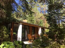 Günstige wohnungen in brandenburg mieten: Bungalow Im Wald Bungalows Zur Miete In Borkwalde Brandenburg Deutschland Ferienhaus Im Wald Bungalows Haus Aussendesign