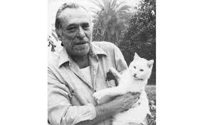Charles Bukowski Mavi Kus Bluebird 3 Bir Mavi Kus Var Yuregimde Cikmaya Can Atan Ama Ben Ondan Gucluyum Kal Diyorum Ona 2020 Charles Bukowski Bukowski Ayi