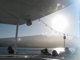 hawaii through my digital!