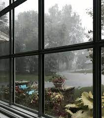 A Nice Rainy Day Rainy Day Pictures Rainy Window Picture Tree