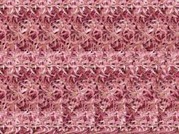 We did not find results for: Can You See The Hidden Image Magic Eye Pictures Magic Eyes Hidden 3d Images