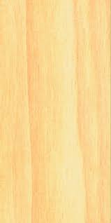 Image result for Pouteria altissima