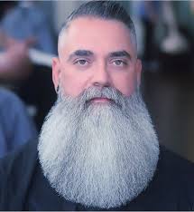 Fresh high fade with combover. Badass beard cut.