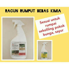 Kita sering mesin rumput dan buang dan bakar rumput kering. Spray Racun Organik