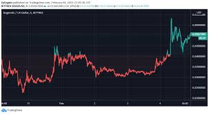 To donate, this is my dogecoin address: Elon Musk Has Just Changed The Game For Dogecoin Zycrypto
