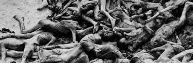 Image result for holocaust photos
