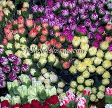 Craig shaw helped me choose and order all the flowers, greenery, and supplies i needed to support the team of volunteers who would build the arrangements. Marigold Orange Flowers Wholesale