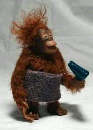 They're adorable, smart, and they eat bananas, just like humans! 55 Funny Monkey Ideas Monkey Funny Animals Monkeys Funny