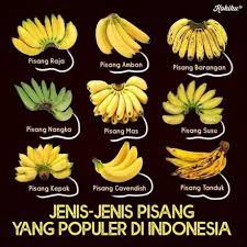 Best 30 Pisang Fun On 9gag