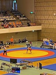 平成28年度 第71回 大阪高等学校総合体育大会（レスリング競技の部） 平成28年度 第32回 全国高校生グレコローマンスタイルレスリング選手権大会: 8p1gpbozggu8mm