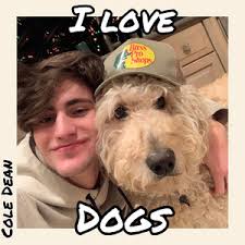 I Love Dogs