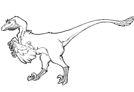 Raptor Dinosaur Coloring Page Dinosaur Coloring Dinosaur Coloring Pages Raptor Dinosaur