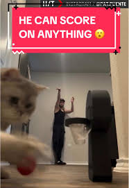 This guy must be unbeatable at HORSE (🎥: IG/pat.puente)