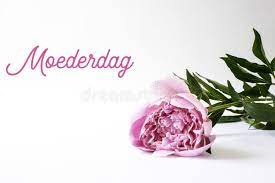 Met alle informatie, de gaafste ideetjes en verrassende tips. 101 Moederdag Photos Free Royalty Free Stock Photos From Dreamstime