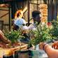 Bonsai Workshop at Rushford & Sons Brewhouse event image