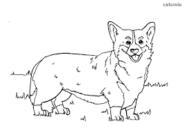 100% free coloring page of a welsh corgi. Dogs Coloring Pages Free Printable Dog Coloring Sheets