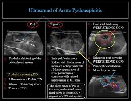 Pin On Emergency Medicine