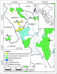 Low (potentially very high!) located in northern peru next to loreto, san martin is a region of ravines, canyons, andean plateaus and thick amazon jungle. Map Of Amazonas And San Martin Showing Private And State Run Protected Download Scientific Diagram