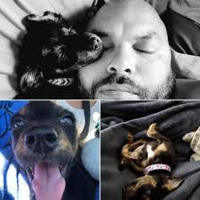 Maybe you would like to learn more about one of these? Animal Emergency Clinic Of San Diego 112 Photos 197 Reviews Emergency Pet Hospital 12775 Poway Rd Poway Ca Phone Number