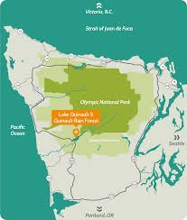 It begins in the mount anderson drainage to the east and the low divide drainage to the northwest. Visit Lake Quinault Things To Do The Olympic Peninsula Wa