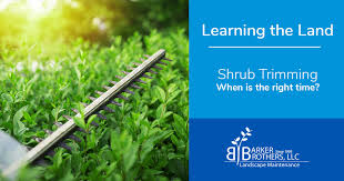 Like trees, pruning bushes depends on the type of species; Trimming Shrubs When Is The Right Time Barker Brothers