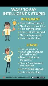 Intelligent And Stupid Educacion Ingles Aprender Ingles Vocabulario Vocabulario En Ingles