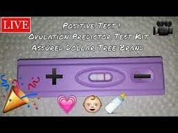 Hcg pregnancy test and ovulation test. Live Positive Test Ovulation Predictor Kit Test Assured Dollar Tree Brand Youtube