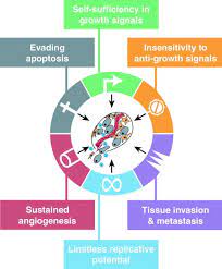 The test will help them determine how active your tumor is now and after your. The Hallmarks Of Cancer Cell