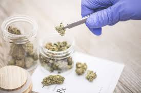 Can nurses have a medical card 2019. Pros And Cons Of Medical Marijuana