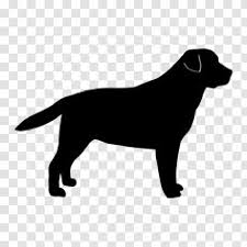 Labrador Retriever Golden Dog Breed Silhouette Group Transparent Png Download free black lab png with transparent background.