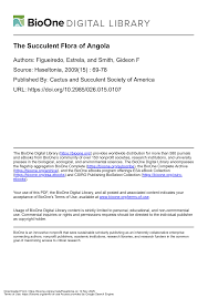 Image result for Raphionacme monteiroae