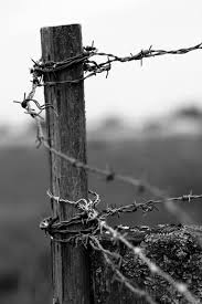 Own Picture Bligny Les Beaune France Theme Enclosure Black And White Picture Wall Country Photography Black And White Pictures