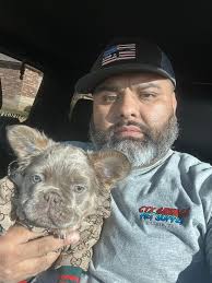 CTX Savage Frenchies