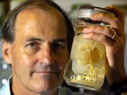 Palmerston and Beyond