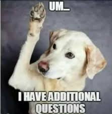 Dog Meme Questions Funny Dogs This Or That Questions Dog Memes