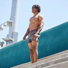 Image result for Hylebates