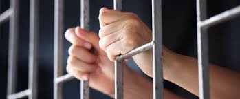 Zile libere în 2019 sunt: Romanii Care Se AÈ™teptau La Legalizarea Marijuanei Au Uitat In Ce È›arÄƒ TrÄƒiesc Nwradu Blog