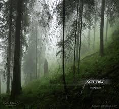 اضغط على زر تحميل download في الشريط الجانبي، لن يؤدي هذا إلى. How To Crack Animated Rain Desktop Wallpaper