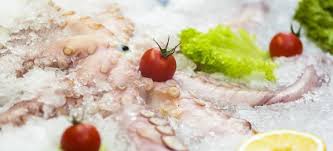 We did not find results for: Come Cucinare Il Polpo Surgelato Cucinarepesce Com